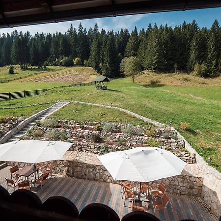 Conacul Domnitei Hotel Voronet Luaran gambar